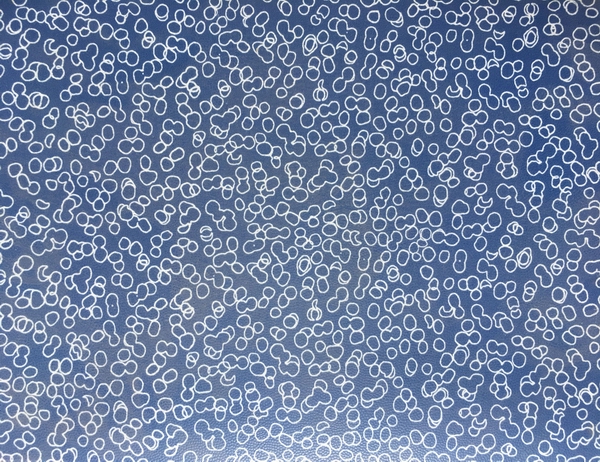 教育系统pvc地板005